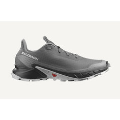 Кроссовки Salomon ALPHACROSS 5, размер RU 44 UK 10.5 USm 11 СМ 28.5, серый