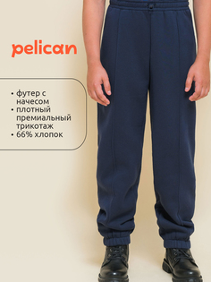 Брюки для мальчиков Pelican, Синий