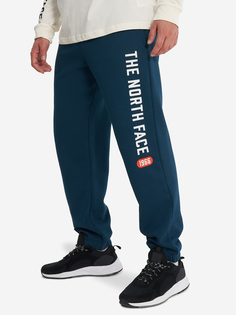 Брюки мужские The North Face Varsity Graphic, Синий