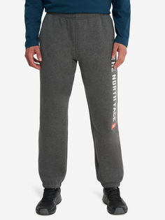Брюки мужские The North Face Varsity Graphic, Серый