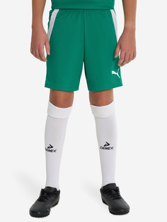 Шорты для мальчиков PUMA Teamliga Jr, Зеленый