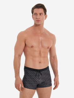 Плавки-шорты мужские Speedo Valmilton, Черный