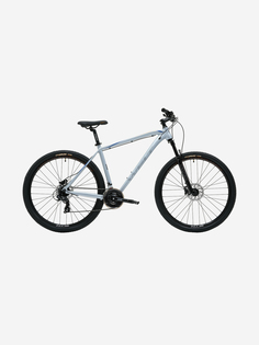 Велосипед Welt Raven 1.0 HD 29 2024, Серебряный