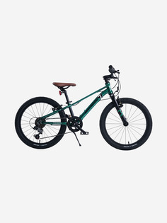 Велосипед Детский Maxiscoo 7BIKE 20 M200 Изумруд (2024), Мультицвет