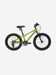 Велосипед Детский Maxiscoo 5BIKE 20 M Фреш Лайм (2024), Мультицвет