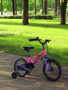 Велосипед для девочек Maxiscoo Air Standart Plus 14", Розовый