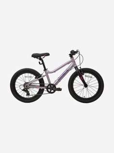 Велосипед Детский Maxiscoo 5BIKE 20 L Розовый Сапфир (2024), Мультицвет
