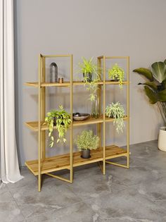 Стеллаж Дивульгато золото/вотан KM Loft