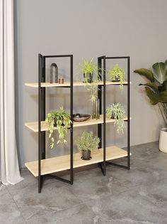 Стеллаж Дивульгато черный/сонома KM Loft