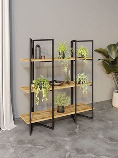 Стеллаж Дивульгато черный/дуб вотан KM Loft