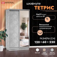Шкаф-купе Империал Тетрис с зеркалом 120х60х220, Ателье светлый Imperial