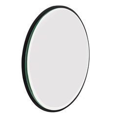 Зеркало интерьерное Eglo BANI 425042