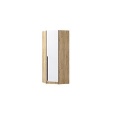 Шкаф Регион 058 Бастион угловой 87x87x220 Дуб крафт золотой/Белый древесный