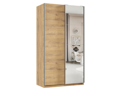 Шкаф-купе Хочу домой Смарт Зеркальная створка Бунратти/Зеркало 220х120 см