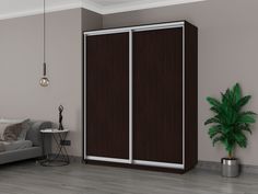 Шкаф-купеЕ1 Экспресс ДСП 180х60х220, Венге