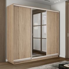 Шкаф-купеЕ1 Экспресс ДСП/Зеркало/ДСП 240х60х220, Сонома