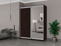Шкаф-купеЕ1 Экспресс ДСП/Зеркало 180х45х240, Венге