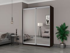 Шкаф-купеЕ1 Экспресс Зеркала 180х60х220, Венге