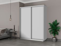 Шкаф-купеЕ1 Экспресс ДСП 180х45х220, Белый снег
