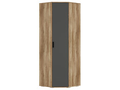 Распашной шкаф Мебелони Вегас Дуб Каньон / Графит