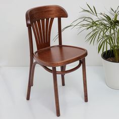 Стул Венский STOOL MARKET Астра деревянный с твердым сиденьем, средний тон