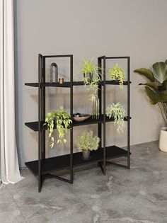 Стеллаж Дивульгато черный/черный KM Loft