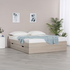 Кровать Askona Prima Ясень Шимо Светлый 160х200