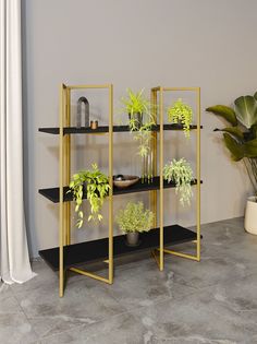 Стеллаж Дивульгато золото/черный KM Loft
