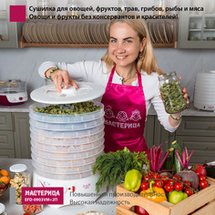 Сушилка для овощей и фруктов Мастерица EFD-0903VM белый