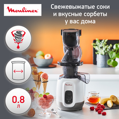 Соковыжималка шнековая Moulinex ZU600110