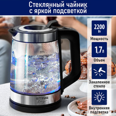 Чайник электрический StingRay ST-KT3007A 1.7 л серебристый, черный