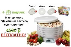 Сушилка для овощей и фруктов Ezidri FD1000 Digital (10 поддонов + 10 листов)