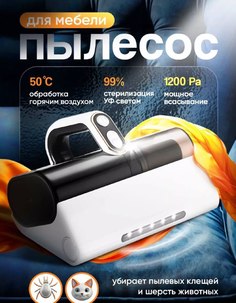 Пылесос NoBrand 904959899 черный