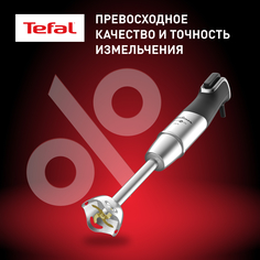 Погружной блендер Moulinex InfinyForce Pro DD95HD10 Black/Silver