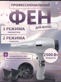 Фен Nano Shop TL-8801 2500 Вт серебристый