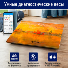 Весы напольные STINGRAY ST-SC5002B диагностические, Bluetooth, Вид Венеции с моря