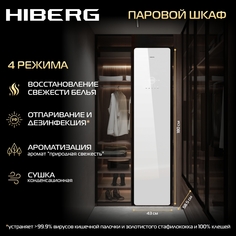 Паровой шкаф Hiberg SD 4GW белый