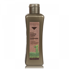 Шампунь с аргановым маслом Salerm Champu Argan 300 мл