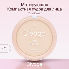 Пудра компактная Divage True Color № 01 fair