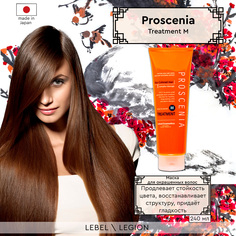 Маска для волос PROSCENIA TREATMENT M Lebe L