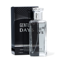 Туалетная вода мужская Gentle Days 100 мл No Brand