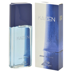 Туалетная вода Alain Aregon мужская Kaizen Pour Homme 95мл