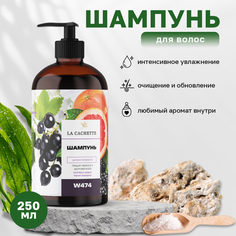 Шампунь для волос La Cachette W474 Blackberry & Bay 250 мл с дозатором
