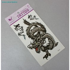 Татуировка на тело Hit Tattoo Дракон M-49 6 шт