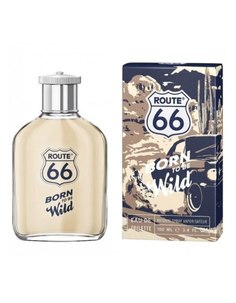 Туалетная вода Route 66 мужская Born To Be Wild 100мл