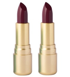 Губная помада Vivienne Sabo Nude Createur тон 20 сливовый 2 шт