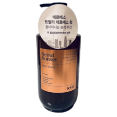 Шампунь Ryo для укрепления волос Hair Loss Expert Care Shampoo 585мл