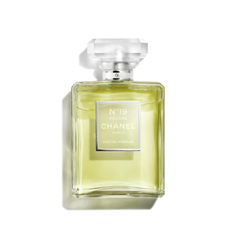 Вода парфюмерная Chanel №19 Poudre для женщин, 100 мл