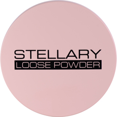 Пудра для лица Stellary Loose Powder рассыпчатая, матирующая №01 3 г
