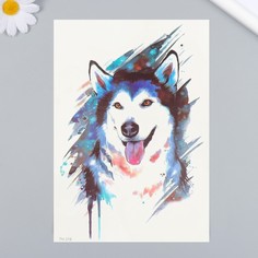 Татуировка на тело цветная "Хаски" 21х14,8 см No Brand
